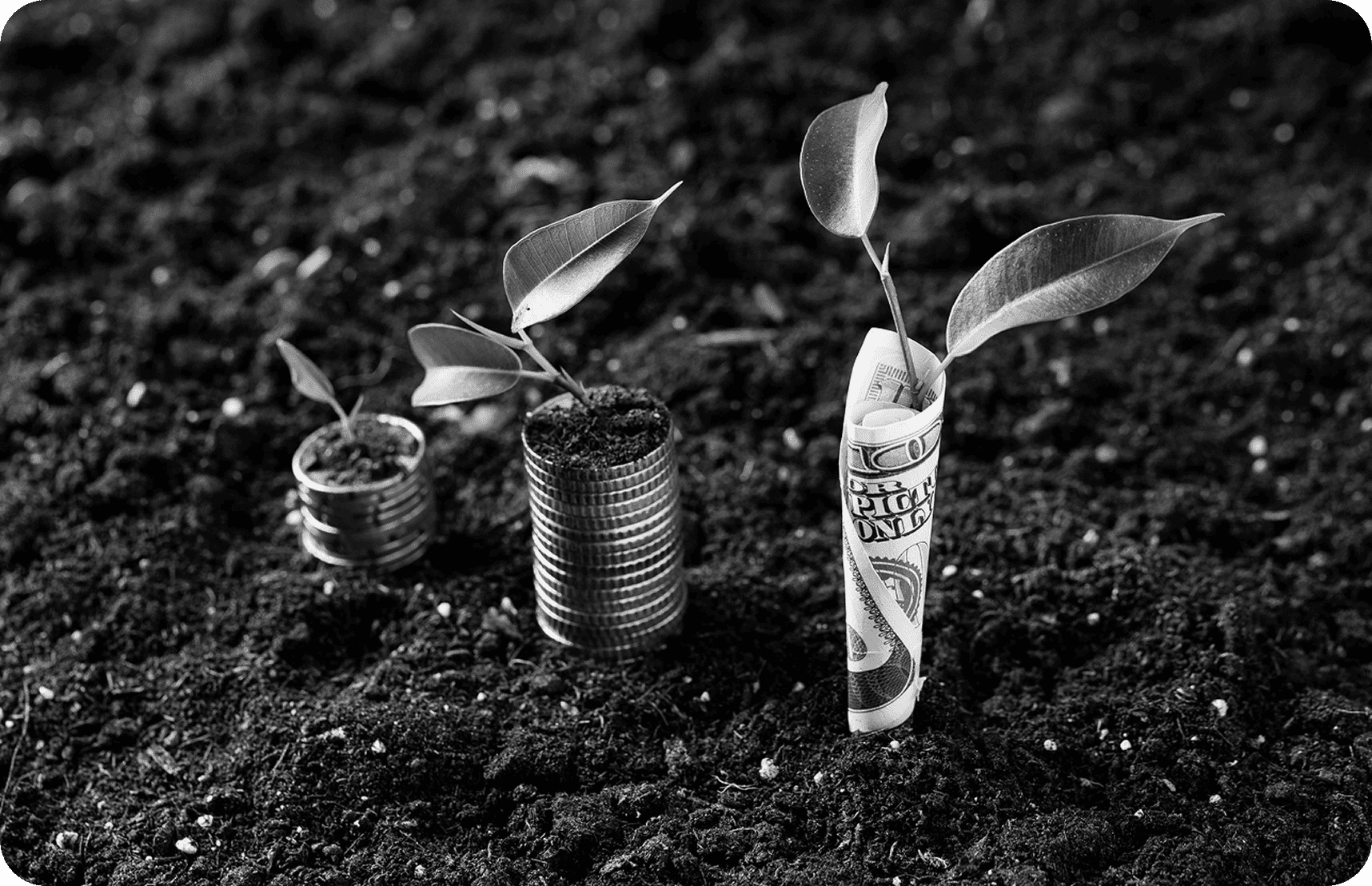 Yield Farming & Liquidity Provision