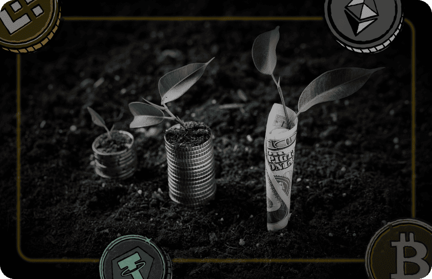 Yield Farming & Liquidity Provision