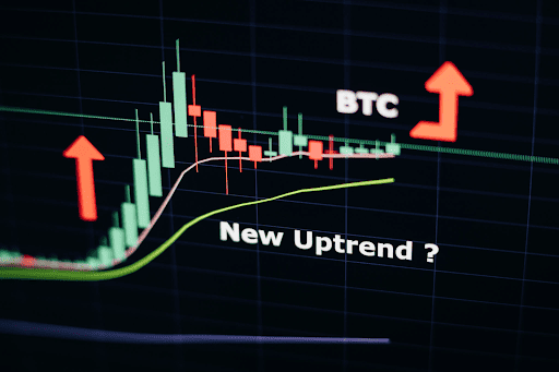 Your Reliable Partner in the Global Crypto Economy